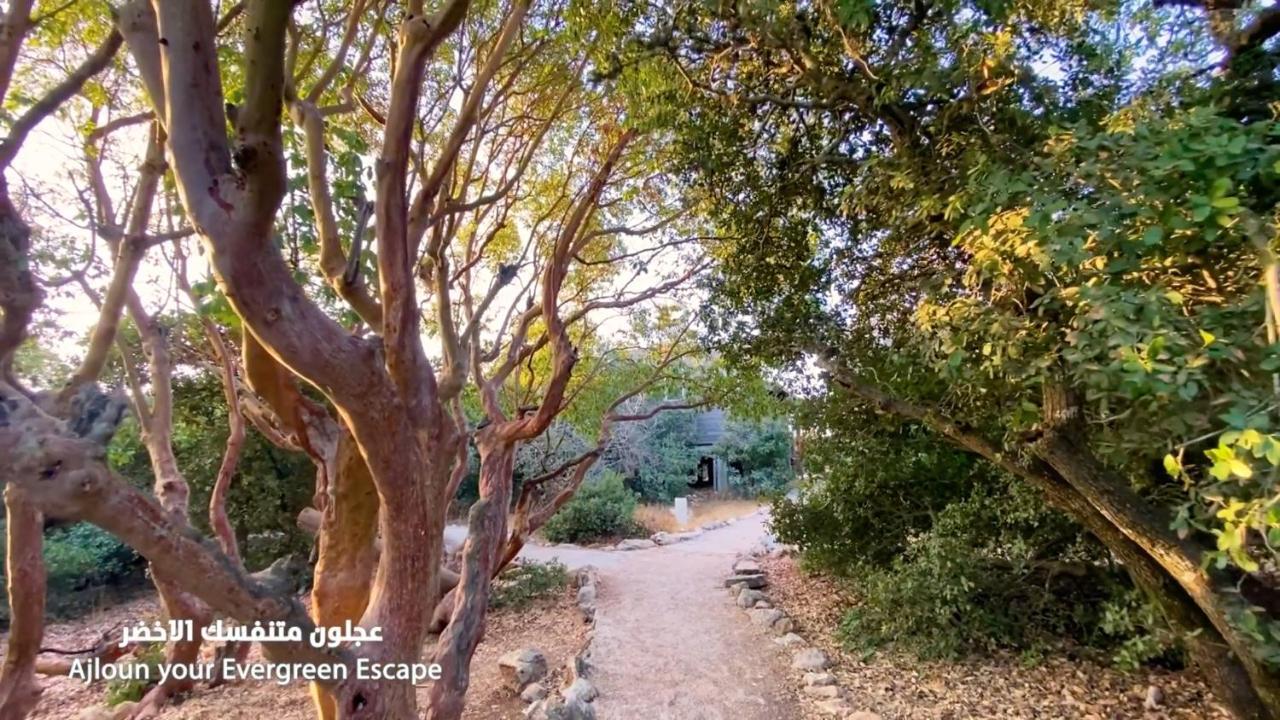 阿杰隆森林保护区露营地 ‘Ajlūn 外观 照片